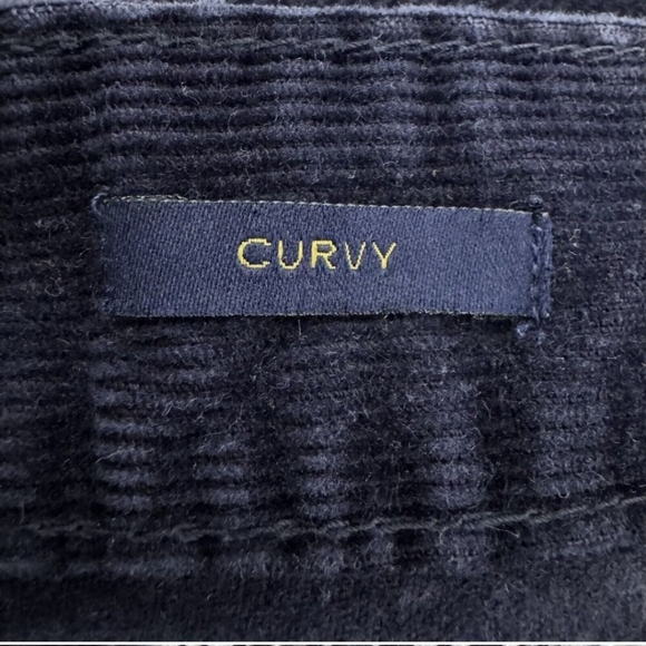 Talbots "Curvy" boot cut navy cords 32 inseam sz 2 - Picture 4 of 7